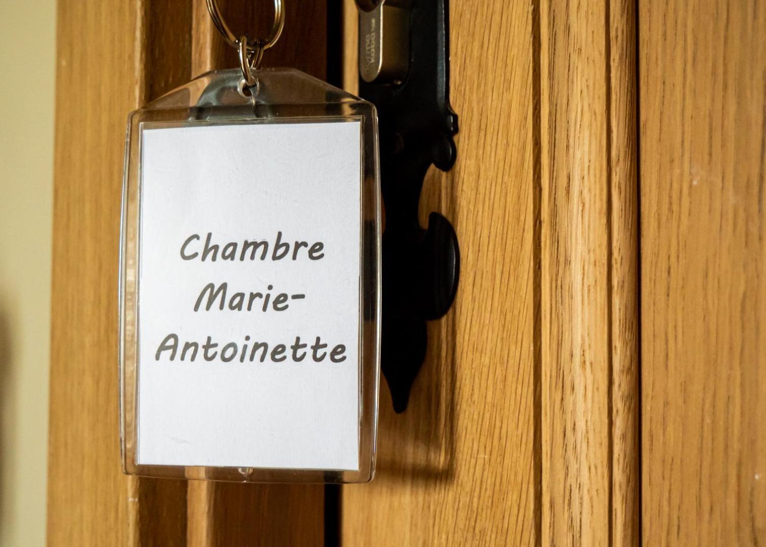 Chateau Du Bertry La Bouexiere 部屋 写真